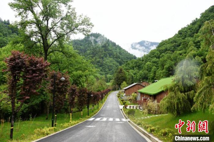 九寨溝熊貓園外景?！【耪瘻峡h委宣傳部提供 攝