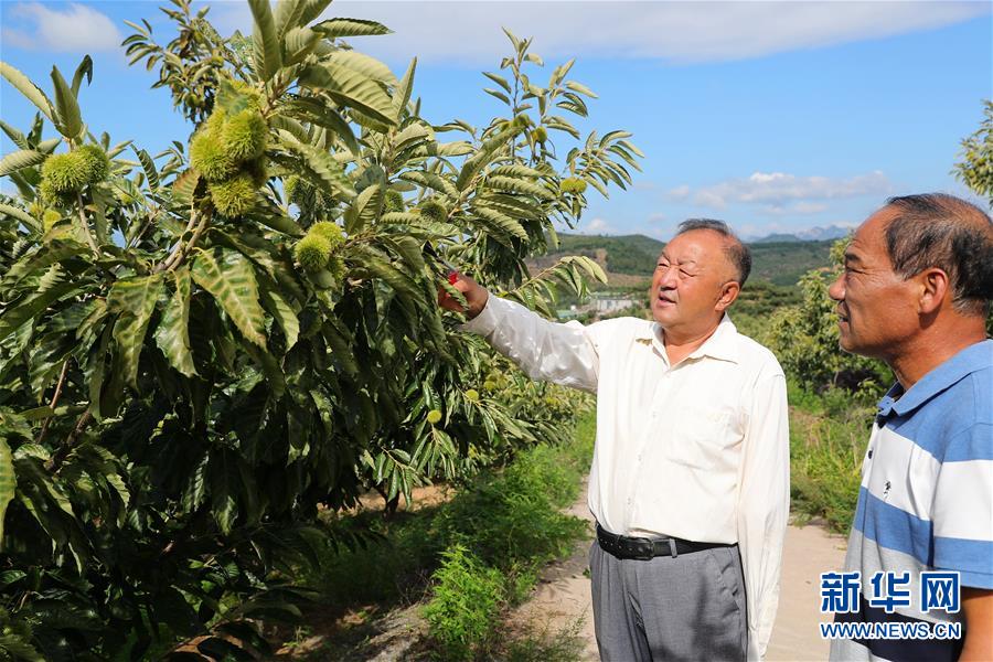 （新華全媒頭條·走向我們的小康生活·圖文互動(dòng)）（11）長(zhǎng)城腳下，小康村串成“珍珠鏈”