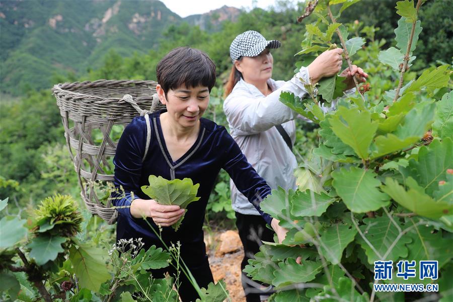 （新華全媒頭條·走向我們的小康生活·圖文互動(dòng)）（7）長(zhǎng)城腳下，小康村串成“珍珠鏈”