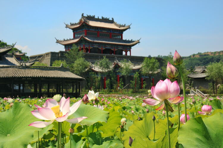 【云游渭南】心中若有桃花源，此處便是水云間！待疫情散盡，一起來渭南桃花源賞美景、觀民俗、享美食_fororder_2